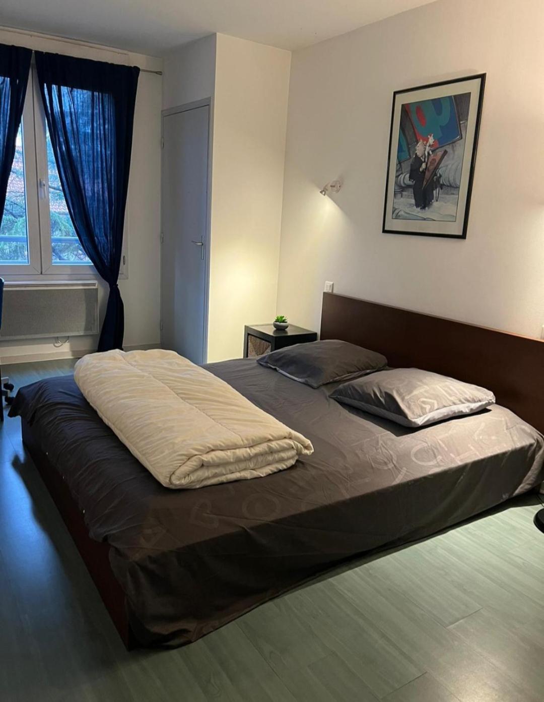 里昂115 Rue Vauban公寓 外观 照片